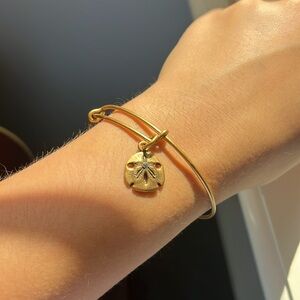 Alex and Ani Gold Sand Dollar Charm Bangle
